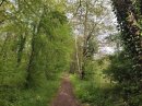 Accès à l'Etang Lévêque